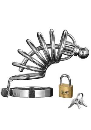 Master Series - Asylum - 6 Ring Chasity Cage