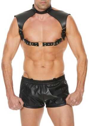 Men Harness with Neck Collar- Premium Leather - Black - One Size